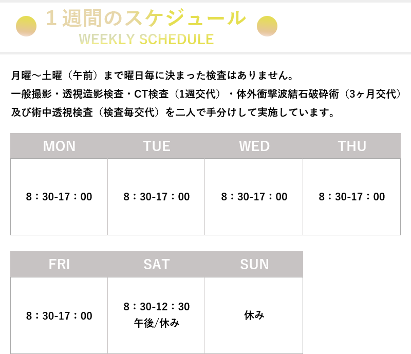1週間のスケジュール