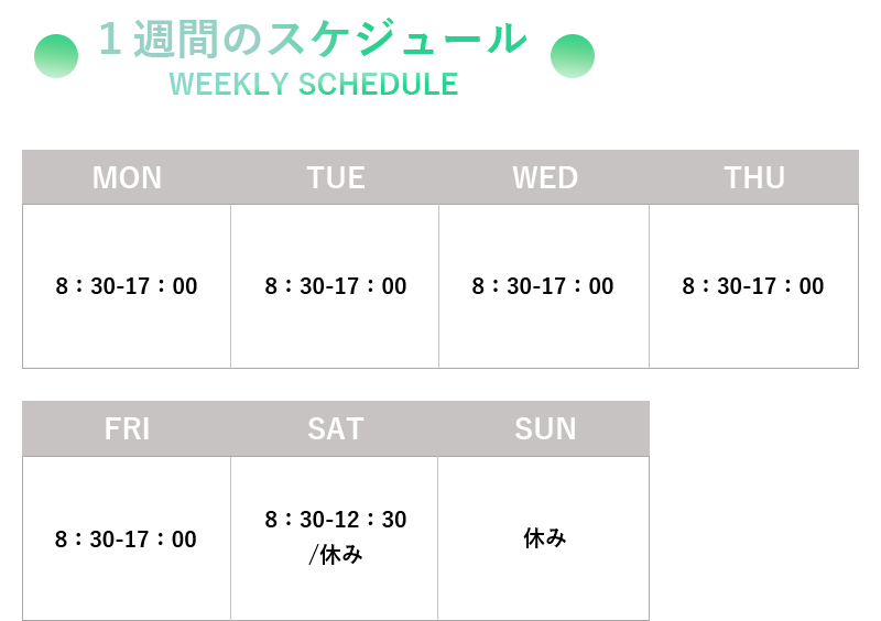 1週間のスケジュール