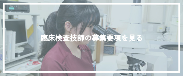 募集要項