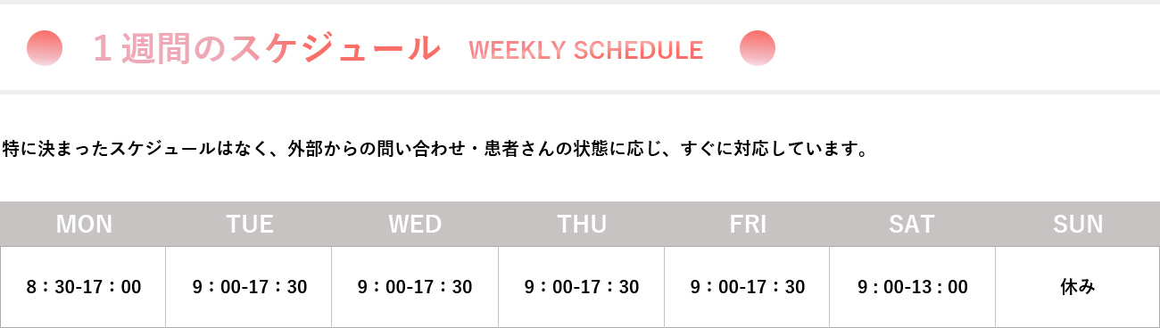 1週間のスケジュール